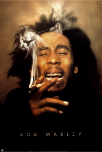 marley Rémi, entre 1970 et 1981